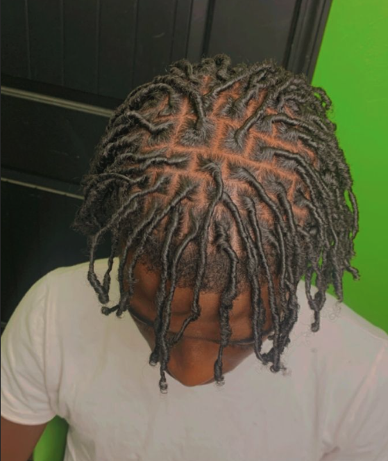 Starter Locs